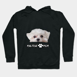 Maltese mom cute t-shirt Hoodie